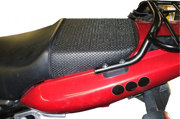 FZS 600